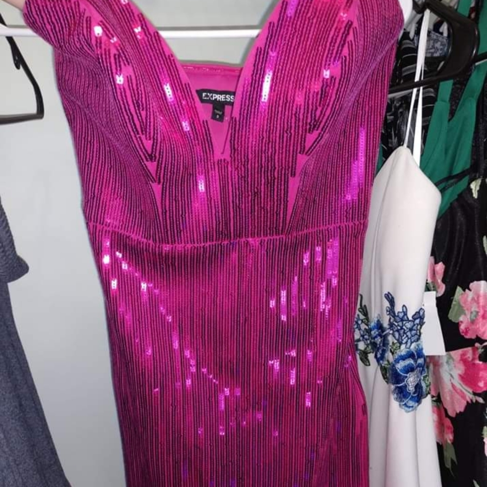Express sequin dress
